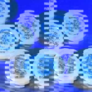 Consumptiemunten Culemborg Blues